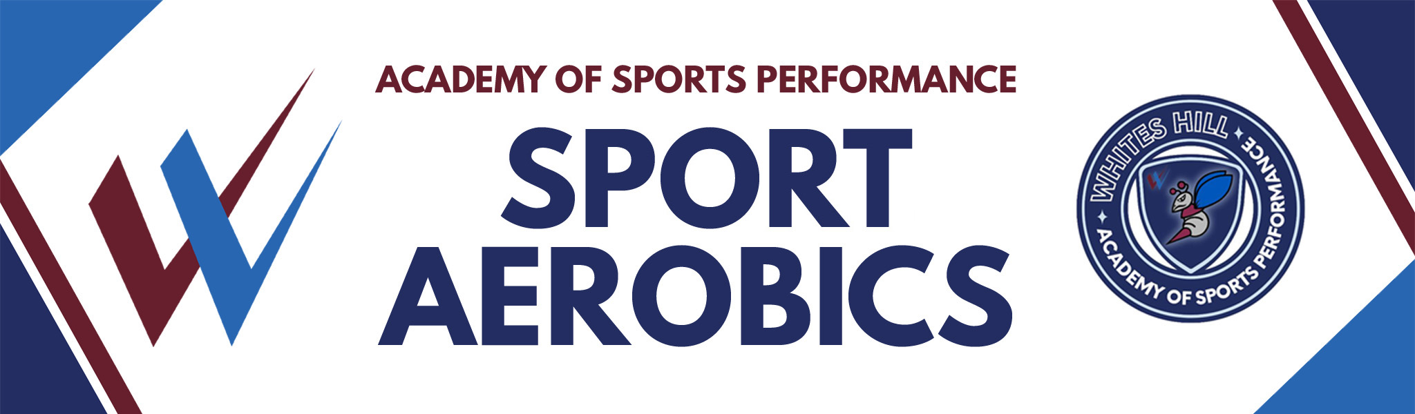 sports-aerobics-bannerNEW2.jpg